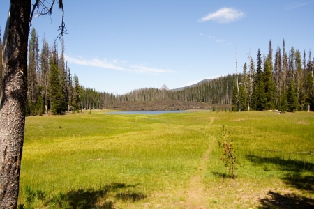 Hand Lake from near the Shelter